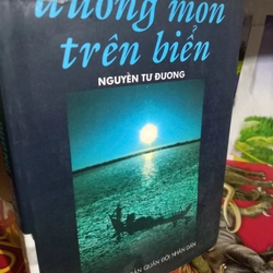 đường mòn trên biển