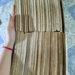 Con nhà giàu 43 tập ( 2003) - Yoko Kamio 789398