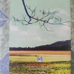 Non nước xứ Quảng ( tập 2) - Phạm Trung Việt 781998