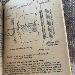 Phương pháp gây tê - GS Trương Công Trung  1025097