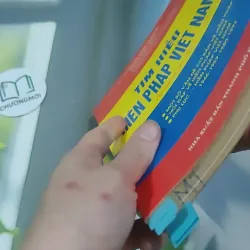 Tìm Hiểu Hiến Pháp Việt Nam - Phan Đình Khánh & Phạm Đức Bảo 727352