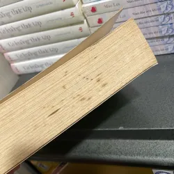 (ngôn tình) - Gia cố tình yêu - Thanh Sam Lạc Thác 1006026