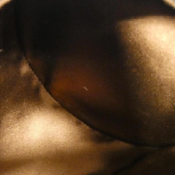 【Vintage】Túi xách vai Bulgari 613548