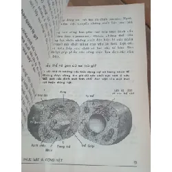 101 câu hỏi đáp khoa học: Yếu huyệt của các võ sĩ ở đâu? - Đặng Thiền Mẫn dịch 719561