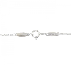 Dây chuyền Tiffany By The Yard - Hàng hiệu Authentic 843137