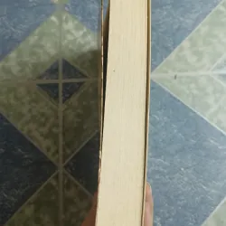 Đầm lầy - David Biggs 564835