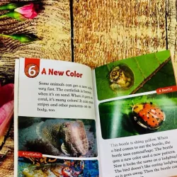 Oxford read and discover (Sách nhập) - Level 2 - 20 quyển + File Mp3 1038347