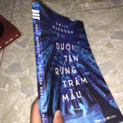 Dưới tán rừng trăm mẫu 928173