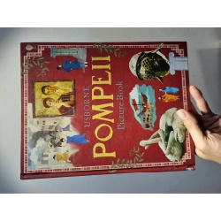 POMPEII : Picture Book (Usborne) 222627