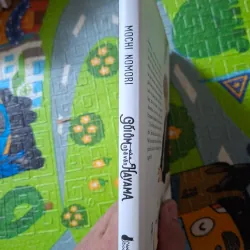 Gối Ôm Của Nhà Văn Hayama 1022883