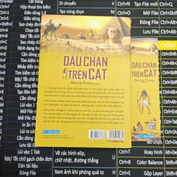 Dấu Chân Trên Cát - Nguyên Phong 703799