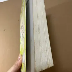 Bong bóng mùa hè 563135