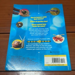 PICTURE BOOK Animal homes 536499