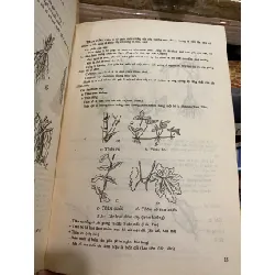 Danh từ Dược học Đông y - Lê Quý Ngưu, Trần Thị Như Đức 718384