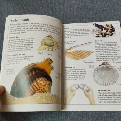 ÁO GIÁP ĐỘNG VẬT 720729