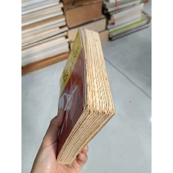 Bệnh học thần kinh - Hồ Hữu Lương 795925