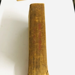 TỔ CHỨC HỌC PHÔI THAI HỌC  528079