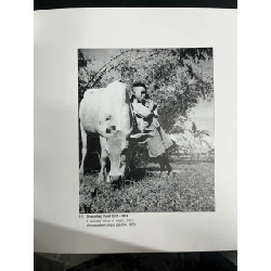 Việt Nam trong trái tim tôi - Hữu Cấy 731197