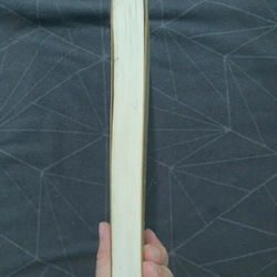 "Thiếu nữ đeo hoa tai ngọc trai" - Tracy Chevalie 538919