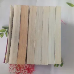 Dork Diaries 1021360