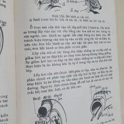 ÔTÔ CẤU TẠO  1008509