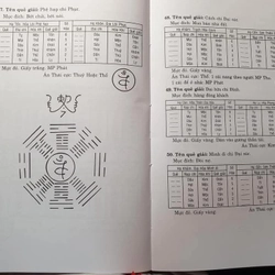 Dịch Lý Trong Tình Yêu Hôn Nhân Sự Nghiệp – Vũ Đình Chỉnh 387344