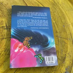 CÂY DỤC VỌNG - HOTHOUSE FLOWER 740332