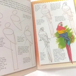 I Can Draw Wild Animals 1002086