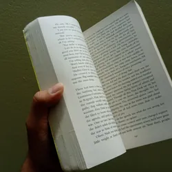 The secret hours,sách ngoại văn tiếng Anh, english book, tiểu thuyết  603465