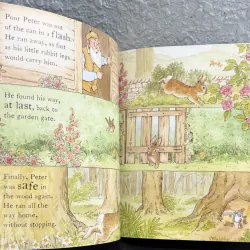 The Tale of a Naughty Little Rabbit 994861