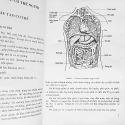 Sinh học lớp 9 xưa (Tập một) 7934