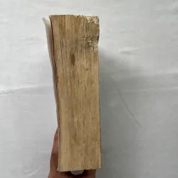 The Story of Mankind - Hendrik Willem van Loon  991920