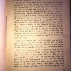 Nguyễn Đình Chiểu trong cuộc đời 998052