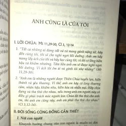 Chia sẻ trong thánh lễ - Linh mục Giuse Đinh Lập Liễm 975153