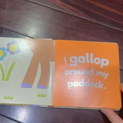 NGOẠI VĂN SÁCH TIẾNG ANH TRẺ EM : GUESS WHO? FARM - fold out book! Little beginners  1028116
