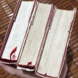Tiểu thuyết Trần Diễn 519045