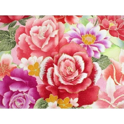 Kimono và Nagajuban 2 món - Hàng hiệu Authentic 878119