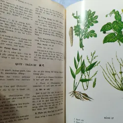 Những cây thuốc và vị thuốc Việt Nam - Dỗ Tất Lợi 974150