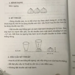Sách dạy sử dụng đuôi bắt kem và trang trí bánh 971703