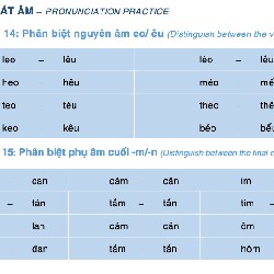 Vietnamese with ease 1 (Học tiếng Việt dễ dàng) 9628