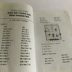 PHÁO CUỘC BÁCH BIẾN 703141