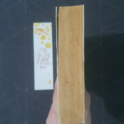 "Cũng chỉ là hạt bụi" - Mộc Phù sinh 476065