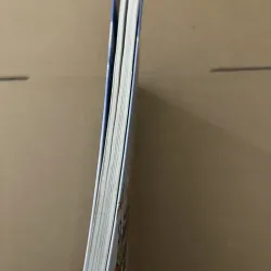 Chuyện con mèo dạy hải âu bay 1002808