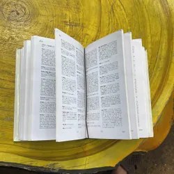 DICTIONNAIRE DE L’ANCIEN FRANCAIS LE MOYEN ÂGE 591097