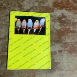 COMBO NGHỆ THUẬT NUÔI CHIM CHIM YẾN PHỤNG & NGHỆ THUẬT THUẦN HOÁ CHIM CU GÁY CHIM VƯỜN 755276