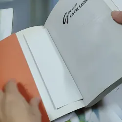 Gần Mặt Cách Lòng - Tạ Hồng 744733