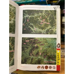 Tầm long điểm huyệt qua hình ảnh -Trương Thanh Uyên 786167