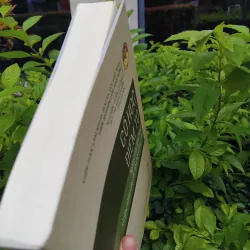 Cổ học điểm tô, nghiên cứu Hán Nôm từ góc nhìn của các nhà khoa học trẻ  975231