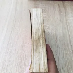 TỪ VỰNG VIỆT - HOA THÔNG DỤNG 1004656