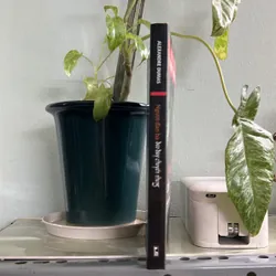 Người Đàn bà đeo dây chuyền nhung 736305